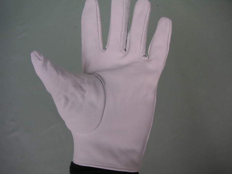 画像1: 牛クレスト白　 １０双入り